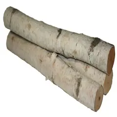 Wilson&reg; Enterprises 6"-8" Large White Birch Fireplace Set, 3ct.