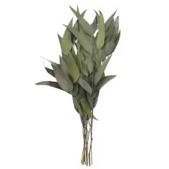 21" Green Willow Eucalyptus by Ashland&reg;