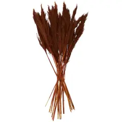 Dried Plant Bamboo Natural Foliage with Long Stems Copper
