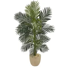 5ft. Golden Cane Palm Tree in Sandstone Planter