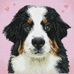 Diamond Dotz&reg; Intermediate Say Hello to Zuzu Pre-Framed Diamond Painting Kit