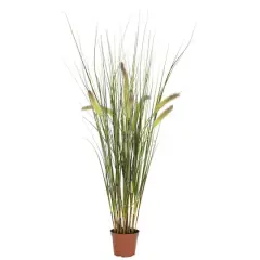 2.5ft. Potted Grass Plant