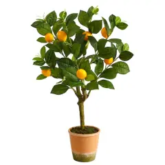 2ft. Lemon Tree in Brown Planter