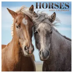 TF Publishing 2025 Horses Mini Calendar