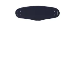 $product['description']['title']}