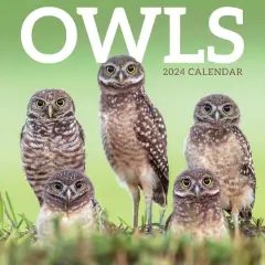 TF Publishing 2024 Owls Wall Calendar
