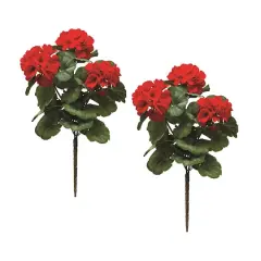 20" Geranium Bush, 2ct.