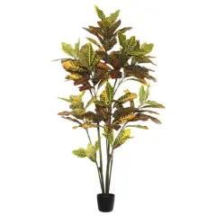 5ft. Potted Green & Orange Croton Tree