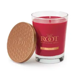 Root Candles 10.5oz. Large Scented Honeycomb Veriglass Jar Candle Hollyberry