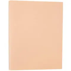 JAM Paper 8.5" x 11" Translucent Vellum Cardstock, 250ct. Spring Ochre