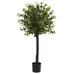 4ft. Potted Olive Topiary Tree