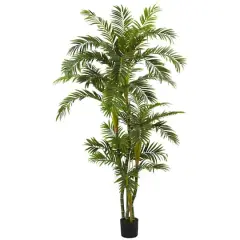 6ft. Potted Curvy Parlor Palm Tree