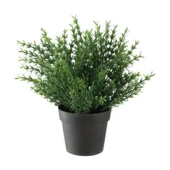 9.5" Forever Green Grass Plant in Brown Pot