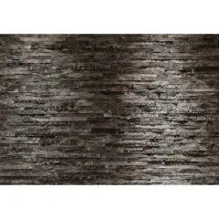 Komar Birkenrinde Wall Mural