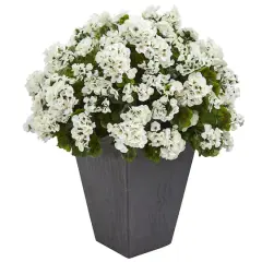 2.5ft. White Geranium in Slate Planter