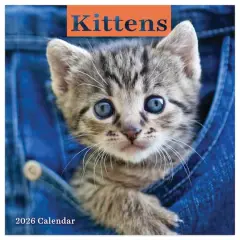 2026 Kittens Mini Calendar