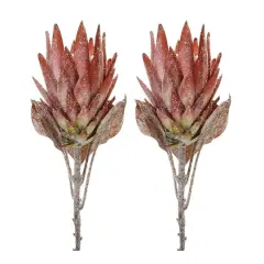 29.25" Red Protea Flower Stems, 2ct. Orange