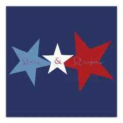 Simple Tri Star Canvas Wall Art