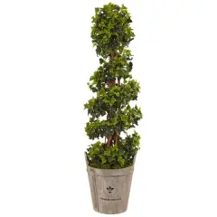 4ft. English Ivy Tree in Farmhouse Planter