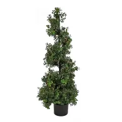 4ft. Pre-Lit Boxwood Spiral Topiary In Nursery Pot