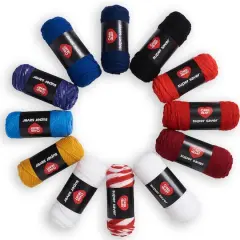 Red Heart&reg; Super Saver&reg; 12 Skein Super Craft Yarn Kit America