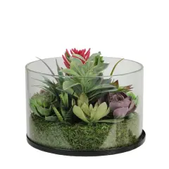 8" Artificial Mixed Succulent Arrangement in Round Glass Jar