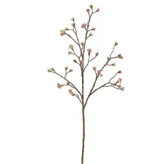 Fuchsia Budding Blossom Stem