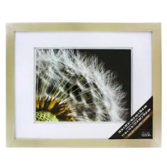 Gallery Champagne Wall Frame with Double Mat by Studio D&eacute;cor&reg;