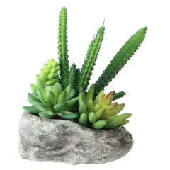 6.5" Green Artificial Succulents in Rock Container