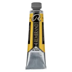 Rembrandt&reg; Artists' Oil Colour, 40mL Cadmium Yellow Medium