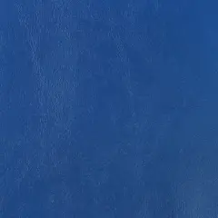 Nassimi Seaquest Royal Blue Vinyl