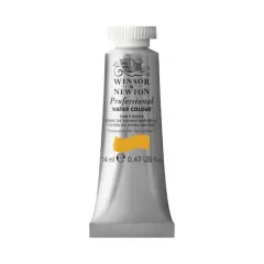 Winsor & Newton&reg; Professional Water Colour&trade; Paint Tube, 14mL Raw Sienna