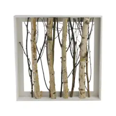 17.75" Mixed Branches in Rustic Wood Frame
