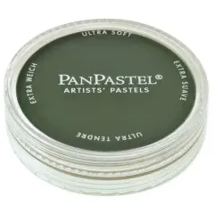 PanPastel&reg; Artist Pastels Permanent Green Extra Dark