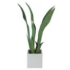 21" Green Artificial Succulent in White Square Pot