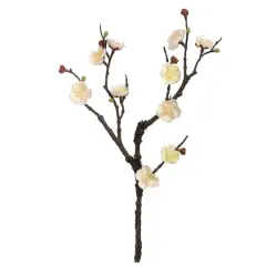 Cream Plum Blossom Stem