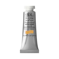 Winsor & Newton&reg; Professional Water Colour&trade; Paint Tube, 14mL Raw Umber