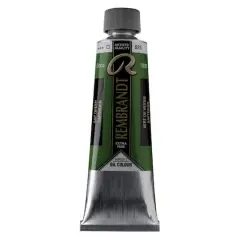 Rembrandt&reg; Artists' Oil Colour, 150mL Sap Green