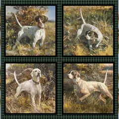 $product['description']['title']}