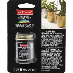 Premium Gilding Paint by Craft Smart&reg; Silver