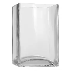 6" Clear Glass Cube Vase by Ashland&reg;