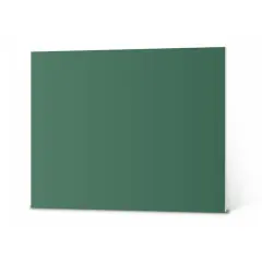 20" x 30" Colored Foam BoardGreen