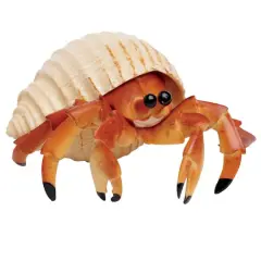 Safari Ltd&reg; Hermit Crab