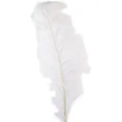 Ashland&reg; Feather, Ostrich, Ivory