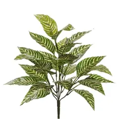 Zebra Bush Classic Greenery by Ashland&reg;