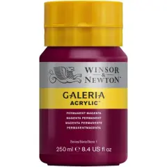Winsor & Newton&reg; Galeria Acrylic&reg; Paint, 250mL Permanent Magenta