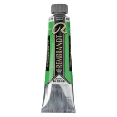 Rembrandt&reg; Artists' Oil Colour, 40mL Permanent Green Light