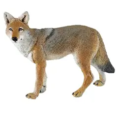 Safari Ltd&reg; Coyote