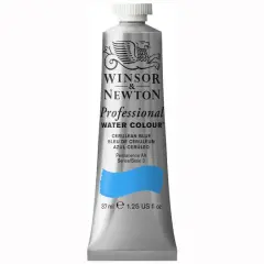Winsor & Newton&reg; Professional Water Colour&trade; Paint Tube, 37mL Cerulean Blue