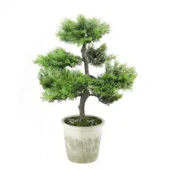 20.25" Japanese Bonsai Tree in Distressed Gray Pot